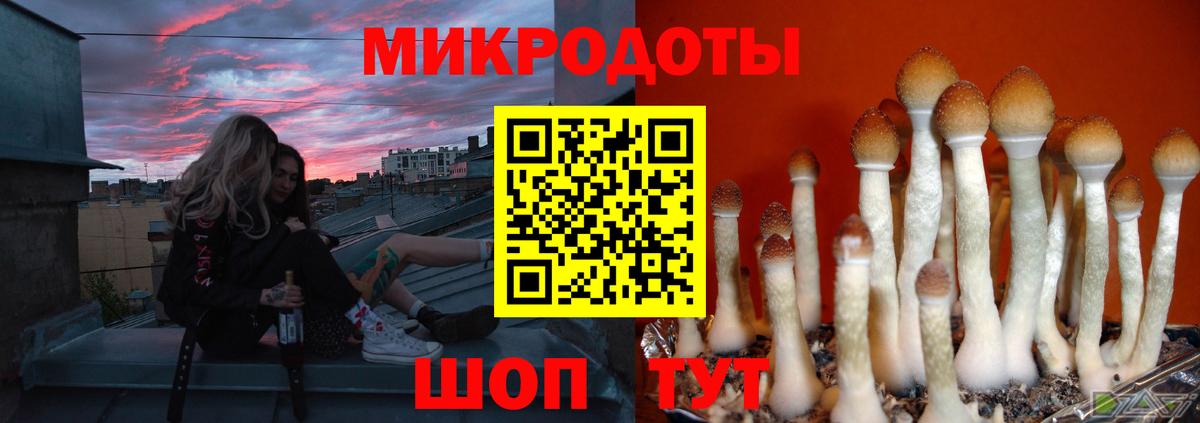 Псилоцибиновые грибы Psilocybine cubensis Владивосток